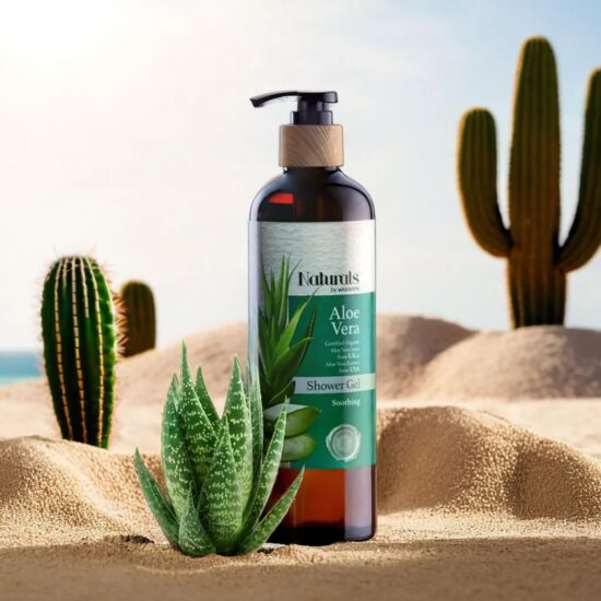 Skincare pump bottle with cactus props on desert sand – cosmetic photography.